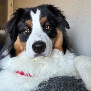 Meet your Posher, Nikkii